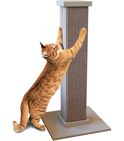 ⭐︎ コディサンダーソン1 inch Cat Scratch Cuff⭐︎ 81dbWUVSHaL._UF350,350_QL50_.jpg